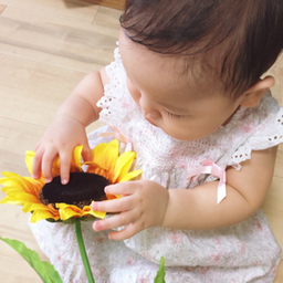 sumi-sumire