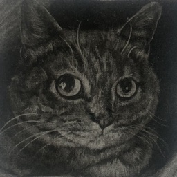 harushi