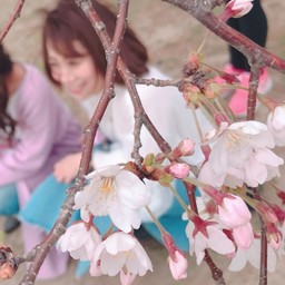 かなしゃん