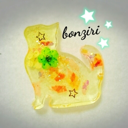 bonziri*☆