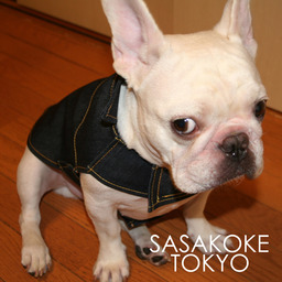 sasakoke