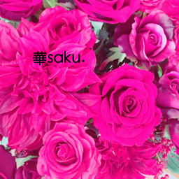 華saku.