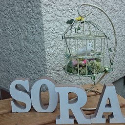 sora-kou