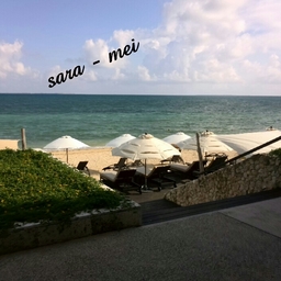 sara-mei