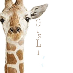 -Gizli-mii