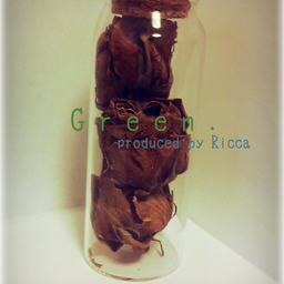 Ricca