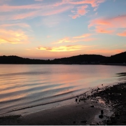 oliveisland