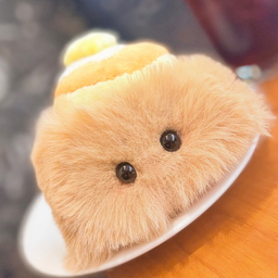 くぅたん