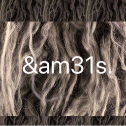 and_am31s