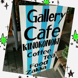 KINOKONOKI