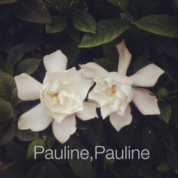 Pauline,Pauline