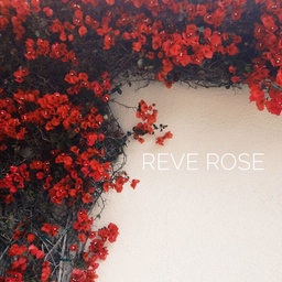 reve  rose