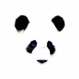 あじゅぱん