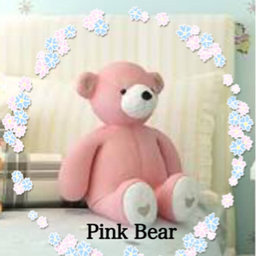 Pink   bear