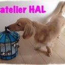 atelierhal