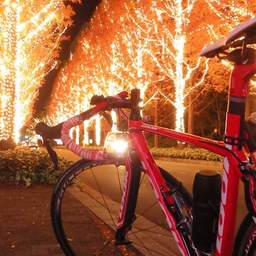 CycleOfficeｰ橙ｰ