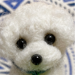 エンジェル　プロフィール朗読