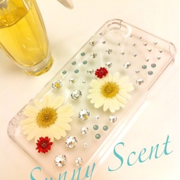 Sunny Scent