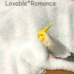 Lovable*Romance