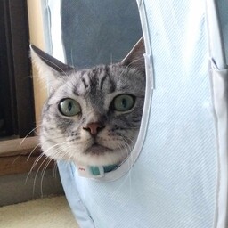 アキビン
