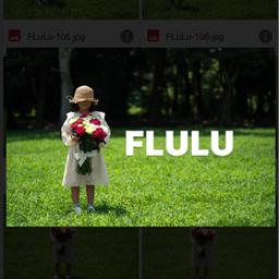 FLULU 
