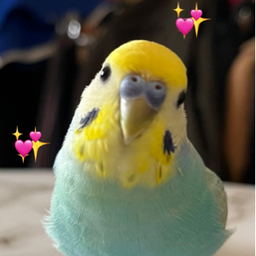 Mana