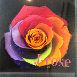 J-rose Gallery