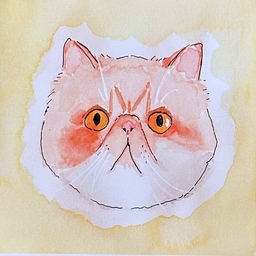 hiro