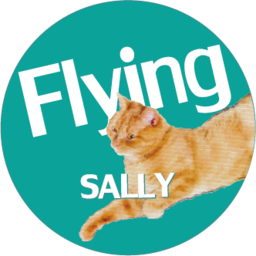 flying-sally