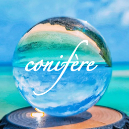 conifère