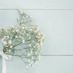 baby’s breath ∗*