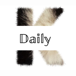 Daily