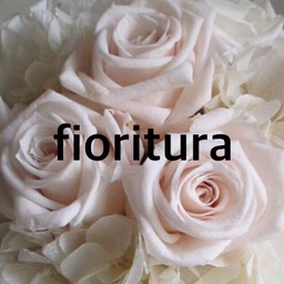 Fioritura