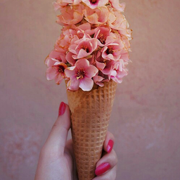 nLily