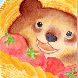 ぽんぽんひかる