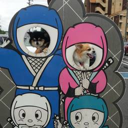 CHIRORU&CHOCO