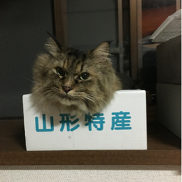 mamechan216