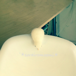 ✳︎sorairomoemi✳︎
