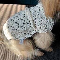 [H•E•N] hic et nunc