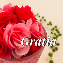 gratia0508