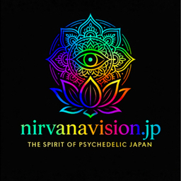 nirvana  vision