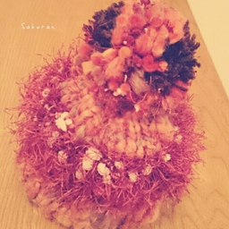 sakuran