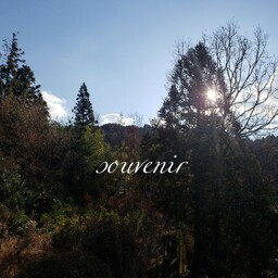 souvenir