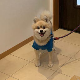 mm-tsuki