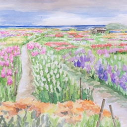 lavendery713