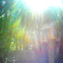 happy summer♬