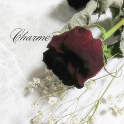 Charme