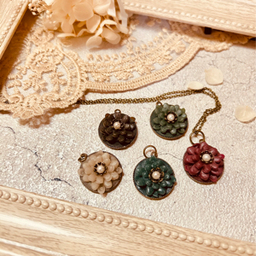 ミイアクラシカ 