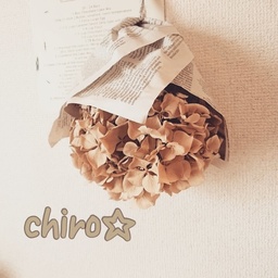 chiro＊roro