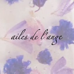 ailes-de-lange